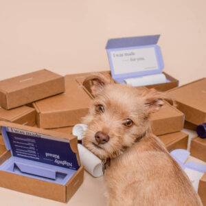 Weekly Dog Crate