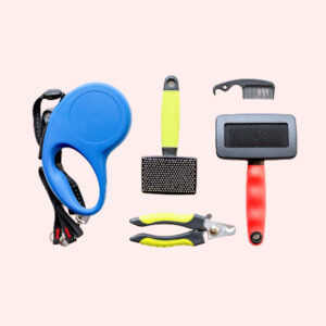 Accessories Subscription
