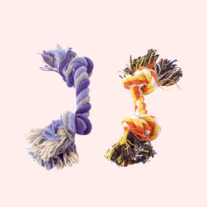 Chewing Toy